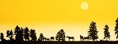 Koocanusa Sunrise - ARTIST PROOF #12/15