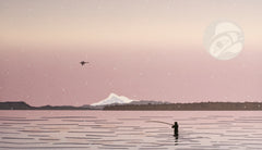 SOLSTICE 2003